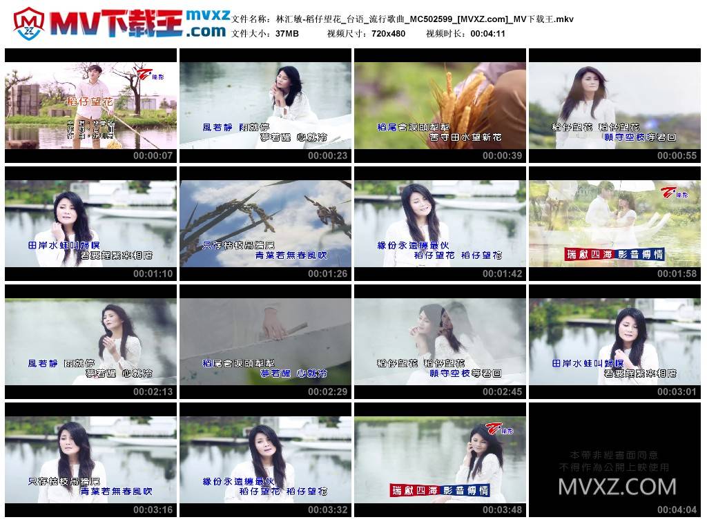 林汇敏-稻仔望花_台语_流行歌曲_MC502599